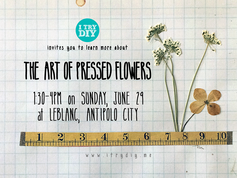 Mikko Sumulong | Pressed Flowers Feature in Southern Living